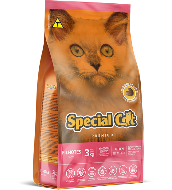 SPECIAL CAT FILHOTES